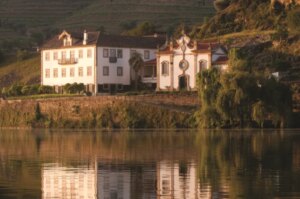 Read more about the article A garantia da excelência de um dos melhores vinhos tintos do Douro